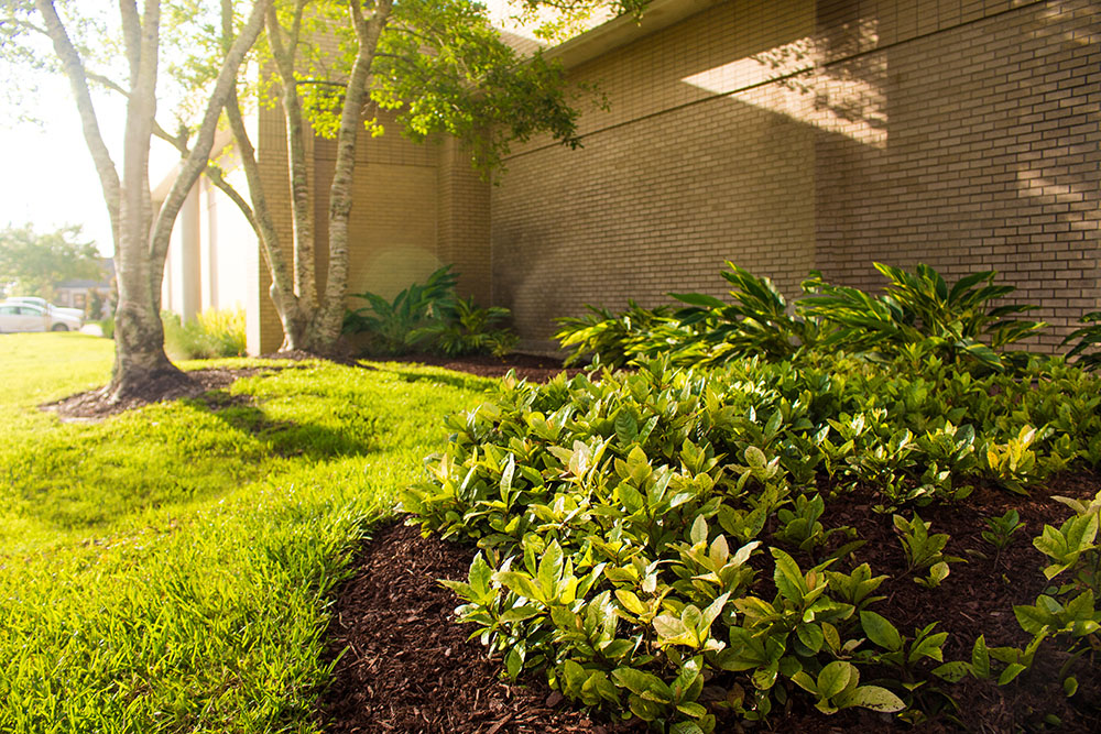 Landry's Landscape Portfolio